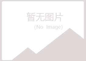 河北山柏咨询有限公司